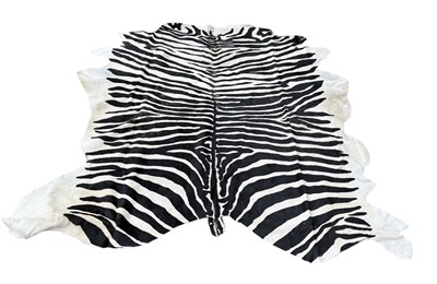 Lot 909 - A LARGE ZEBRA PATTERN COW SKIN CARPET