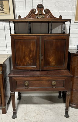 Lot 452 - A 19TH CENTURY MUSEUM COLLECTORS CABINET POSSIBLY REGENCY PERIOD