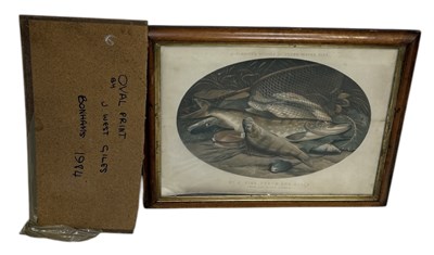 Lot 689 - JOHN WEST GILES: AN OVAL PRINT FROM F.L. ROLFES STUDIES OF FRESH-WATER FISH