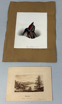 Lot 493 - A RARE 19TH CENTURY DRAWING DEPICTING THE SQUAW OF THE MIC-MAC TRIBE