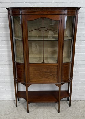 Lot 769 - AN EDWARDIAN MAHOGANY DISPLAY CABINET