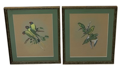 Lot 112 - INDIAN, GOA 19TH CENTURY: A PAIR OF WATERCOLOUR PAINTINGS ON PAPER DEPICTING PARAKEETS AND LURKETES