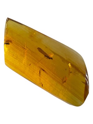 Lot 435 - A FLYING INSECT FOSSIL IN DINOSAUR AGED AMBER