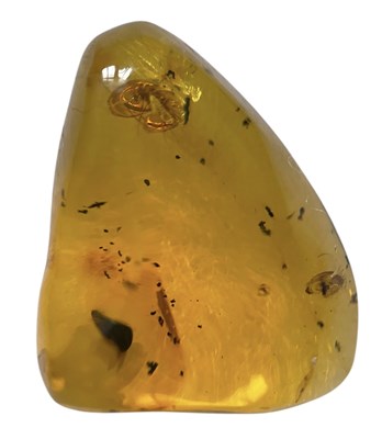 Lot 436 - A FLYING INSECT FOSSIL IN DINOSAUR AGED AMBER