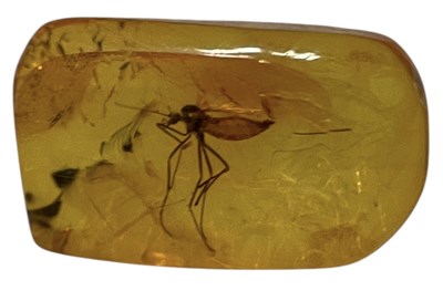 Lot 438 - A MOSQUITO FOSSIL IN DINOSAUR AGED AMBER