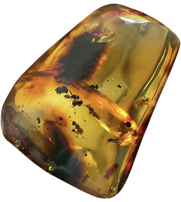 Lot 444 - A SWARM OF BEES IN AMBER FOSSIL