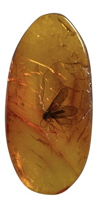 Lot 452 - A FLYING INSECT FOSSIL IN BALTIC AMBER