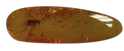 Lot 454 - A FLYING INSECT FOSSIL IN BALTIC AMBER