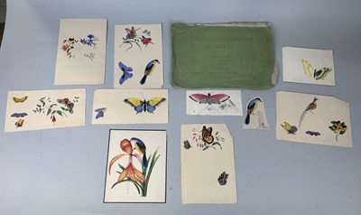 Lot 500 - A SMALL COLLECTION OF NATURAL HISTORY WATERCOLOUR DRAWINGS BY A RELATIVE OF CAPTAIN JAMES MUDDLE ALONG WITH LITHOGRAPHIC VIEWS BY R.P WHITTLE