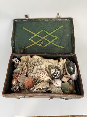 Lot 454A - NATURAL HISTORY: AN INTERESTING COLLECTION OF SHELLS, MINERALS AND AN AGATE STAND, HOUSED WITHIN AN OLD LEATHER SUITCASE