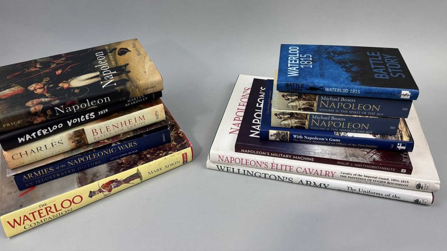 Lot 728 - A COLLECTION OF BOOKS ON THE NAPOLEONIC WARS