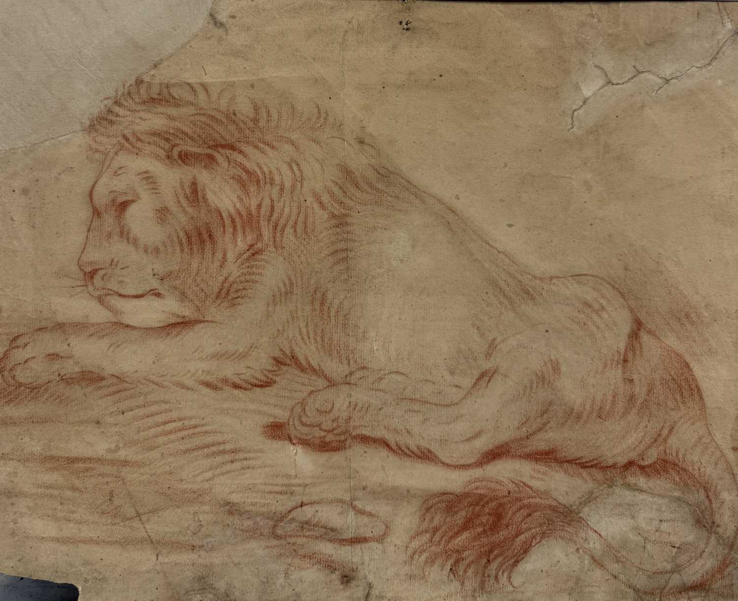 Lot 194 - AN 18TH CENTURY RED CHALK DRAWING OF A LION, WATERMARKED PAPER