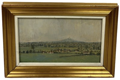 Lot 441 - SHIREEN FAIRCLOTH: AN OIL PAINTING ON BOARD DEPICTING A COUNTRY SCENE WITH MOUNTAIN