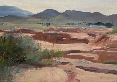 Lot 860 - D. BREAM: AN OIL PAINTING ON CANVAS 'VIEW ACROSS PLAIN 2'