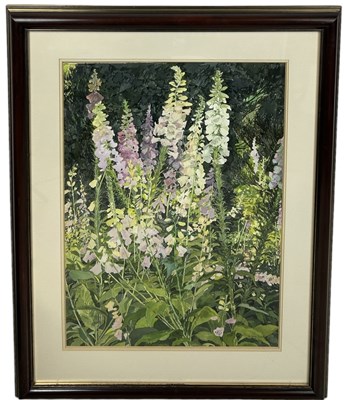 Lot 453 - VICTORIA CROWE O.B.E F.R.S.A. R.S.A (BRITISH B.1945): A LARGE WATERCOLOUR PAINTING ON PAPER 'DIGITALIS EXCELSIOR HYBRIDS'