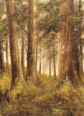 Lot 814 - W. M. FREEZOR: AN OIL PAINTING ON CANVAS DEPICTING A SUNSET WOODLAND SCENE