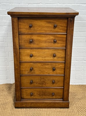 Lot 1008 - A 19TH CENTURY MAHOGANY WELLINGTON CHEST OF DRAWERS WITH SECRETAIRE