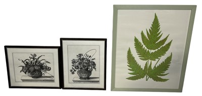 Lot 899 - A LARGE WATERCOLOUR PAINTING OF A FERN, ALONG WITH TWO CHARCOAL FLORAL STUDIES (3)