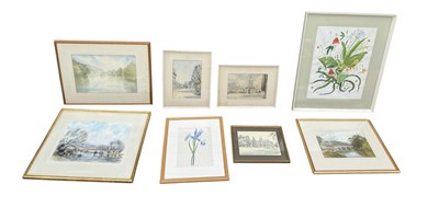 Lot 896 - A GROUP OF EIGHT WATERCOLOURS AND DRAWINGS TO INCLUDE BOTANICAL