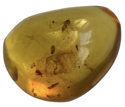 Lot 739 - A FLYING INSECT FOSSIL IN DINOSAUR AGED AMBER