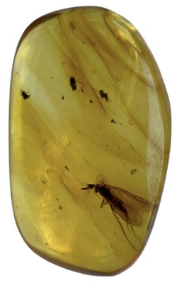 Lot 740 - A FLYING INSECT FOSSIL IN DINOSAUR AGED AMBER