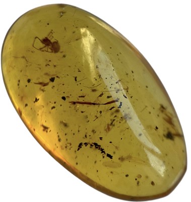 Lot 742 - A SPIDER FOSSIL IN DINOSAUR AGED AMBER