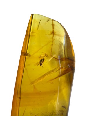 Lot 735 - A BEE FOSSIL IN AMBER