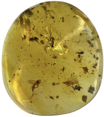 Lot 741 - A MOSQUITO FOSSIL IN DINOSAUR AGED AMBER