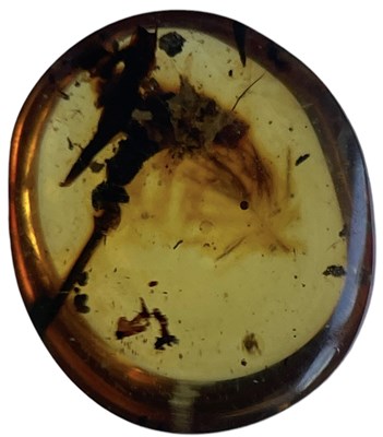 Lot 748A - A DINOSAUR FEATHER FOSSIL IN AMBER