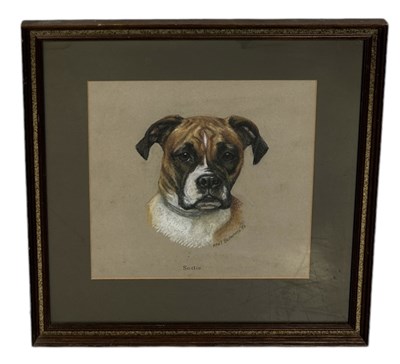 Lot 504 - MARY BROWNING (BRITISH 20TH CENTURY): A PASTEL DRAWING ON PAPER DEPICTING A PORTRAIT OF A BOXER DOG 'SADIE'