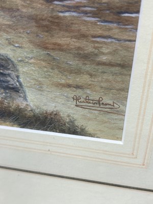 Lot 612 - ALISTAIR PROUD (BRITISH B.1954): A WATERCOLOUR PAINTING ON PAPER DEPICTING AN EAGLE