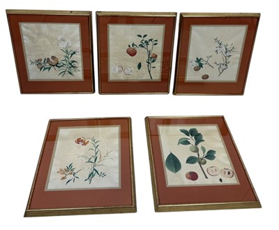 Lot 702 - A SET OF FIVE CHINESE WATERCOLOUR COLLAGES ON PAPER DEPICTING VARIOUS FRUITS AND THEIR PLANTS