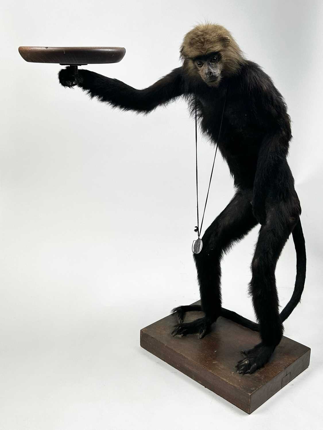 Monkey Stand Lot 10 - A TAXIDERMY MONKEY BUTLER STAND CIRCA 1920,