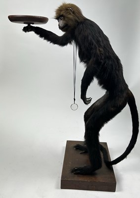 Lot 10 - A TAXIDERMY MONKEY BUTLER STAND CIRCA 1920,...