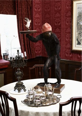 Lot 10 - A TAXIDERMY MONKEY BUTLER STAND CIRCA 1920,...