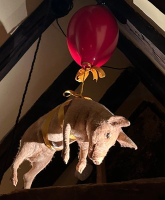 Lot 13 - TAXIDERMY "FLOATING PIG" (Sus scrofa...