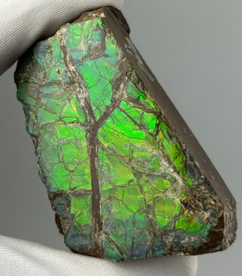 Lot 19 - AN AMMOLITE GEMSTONE FOSSIL SHELL OF AN...