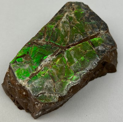 Lot 19 - AN AMMOLITE GEMSTONE FOSSIL SHELL OF AN...