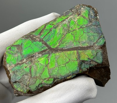 Lot 19 - AN AMMOLITE GEMSTONE FOSSIL SHELL OF AN...
