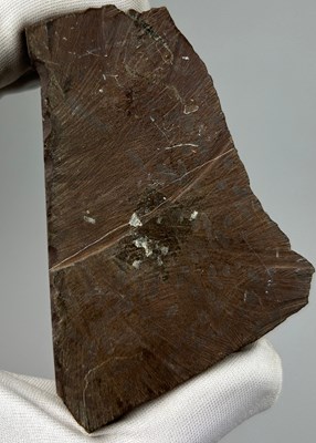 Lot 19 - AN AMMOLITE GEMSTONE FOSSIL SHELL OF AN...