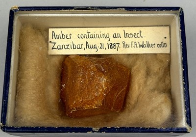 Lot 44 - A VICTORIAN COLLECTION ZANZIBAR AMBER SPECIMEN...