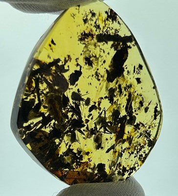 Lot 47 - A VERY FINE AMBER CABOCHON CONTAINING MULTIPLE...