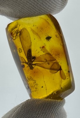 Lot 49 - A WINGED INSECT IN AMBER, 

From Chiapas,...