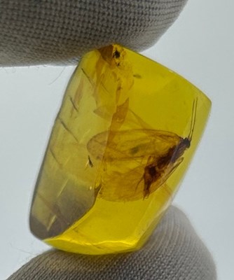 Lot 50 - A WINGED INSECT IN AMBER, 

From Chiapas,...