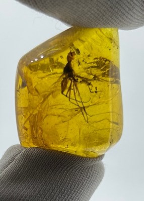 Lot 52 - A WINGED INSECT IN AMBER, 

From Chiapas,...