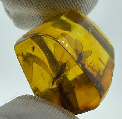 Lot 54 - A WINGED INSECT IN AMBER, 

From Chiapas,...