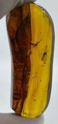 Lot 55 - A FLYING INSECT AND FOLDED LEAF IN LARGE AMBER...