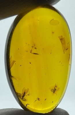 Lot 57 - FLYING INSECTS IN PERFECTLY OVAL SHAPED AMBER,...