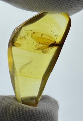 Lot 61 - A WINGED INSECT IN AMBER, 

From Chiapas,...