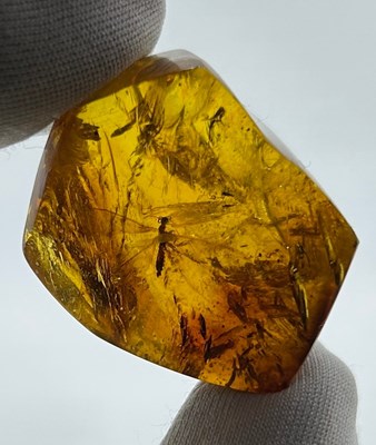 Lot 62 - A WINGED INSECT IN AMBER, 

From Chiapas,...